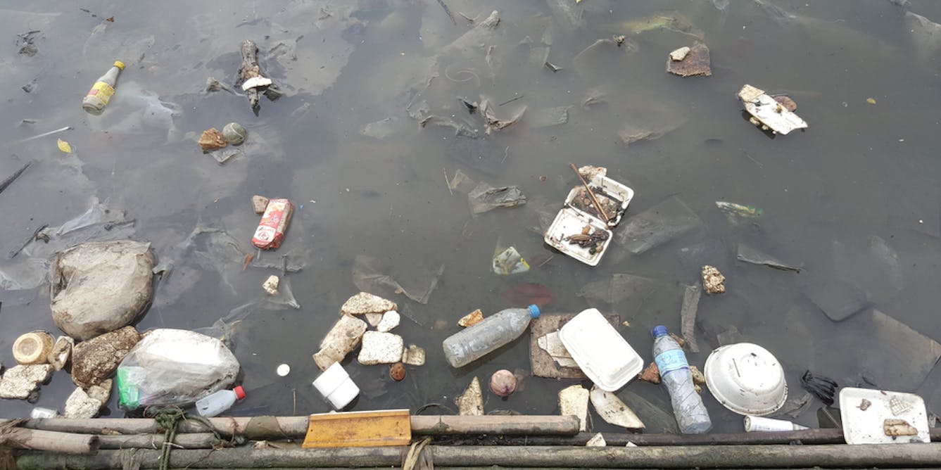 Rumput Laut Jawaban Indonesia Terhadap Krisis Sampah Plastik Dunia