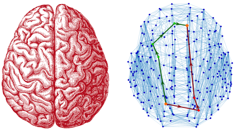 Like sightseeing in Paris – a new model for brain communication