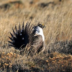 research paper about oil exploration