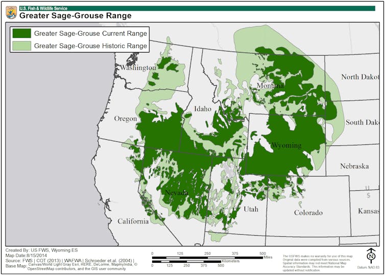 The sage grouse isn't just a bird – it's a proxy for control of Western lands