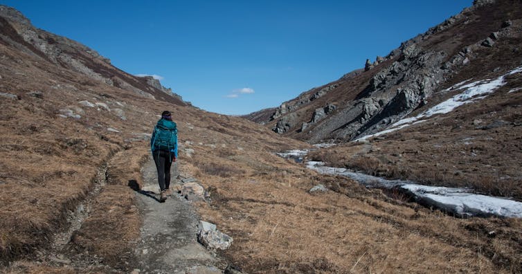 Hiking the Savage River Loop in Denali National Park and Preserve, Alaska. (Lian Law/NPS)