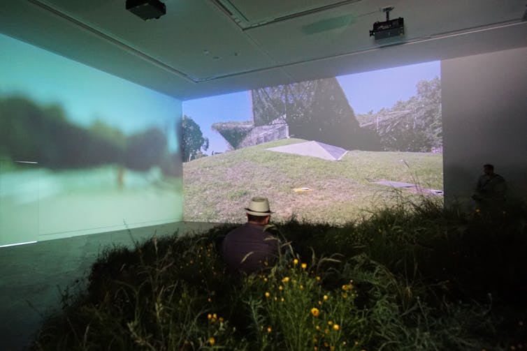 Australia's fragile grasslands at the Venice Biennale