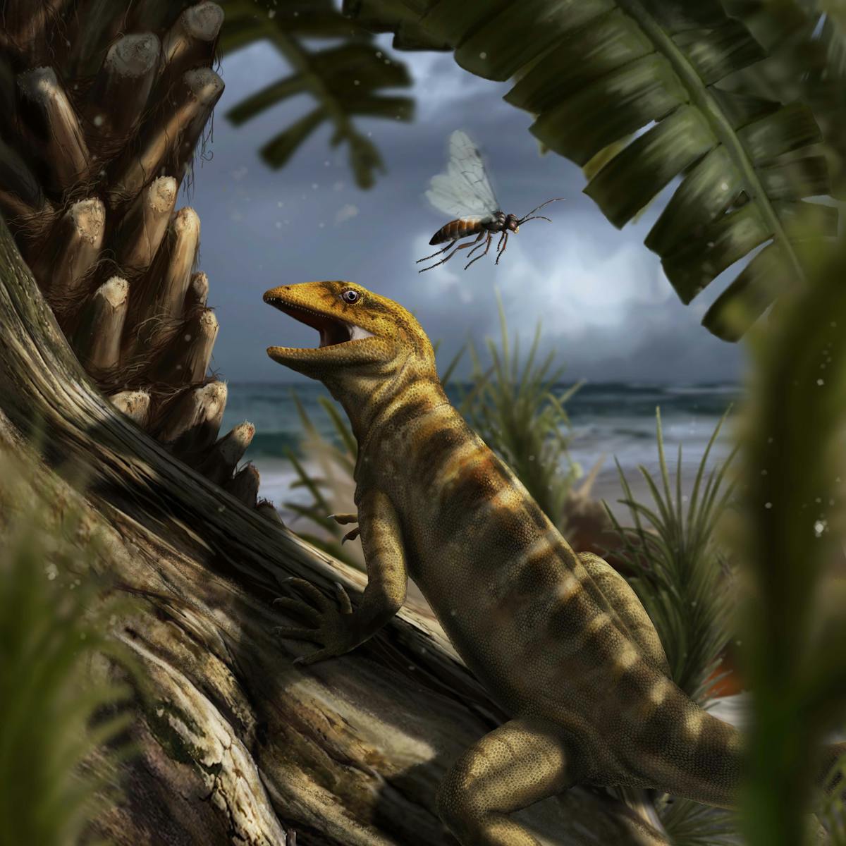 ancient fossil fills a 75 million year