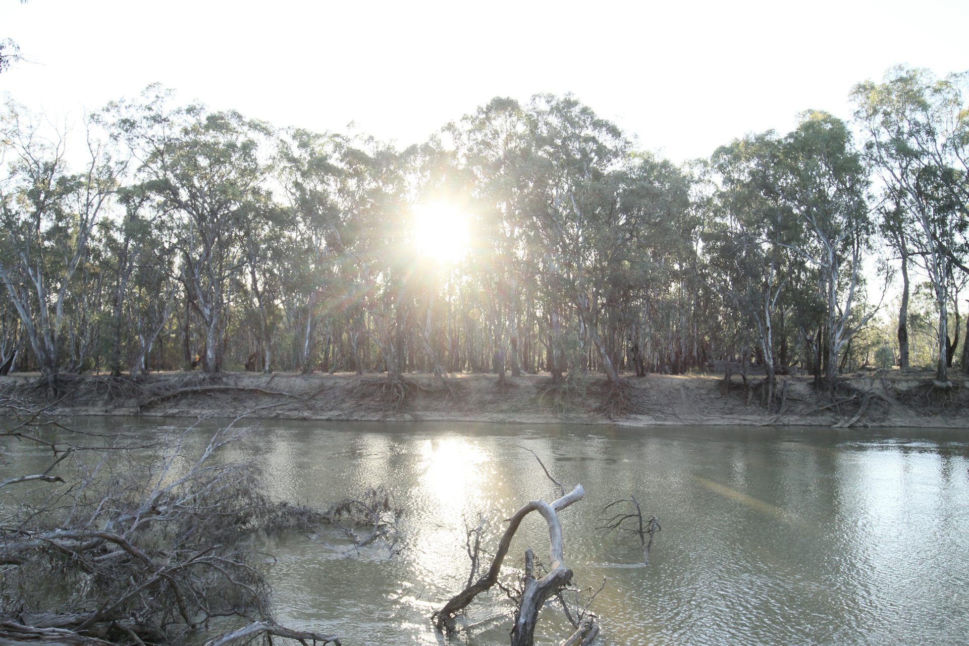 The ring trees of Victoria's Watti Watti people are an extraordinary part of our heritage