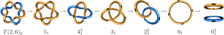 Math shows how DNA twists, turns and unzips