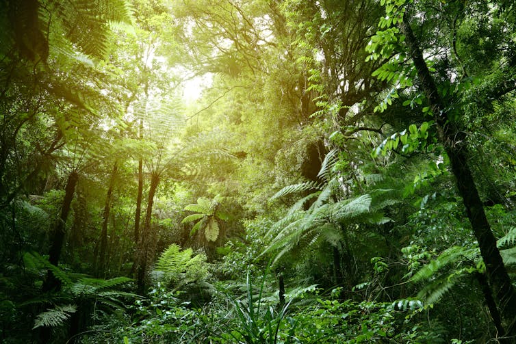 File 20180601 69497 1rmts16.jpg?ixlib=rb 1.1