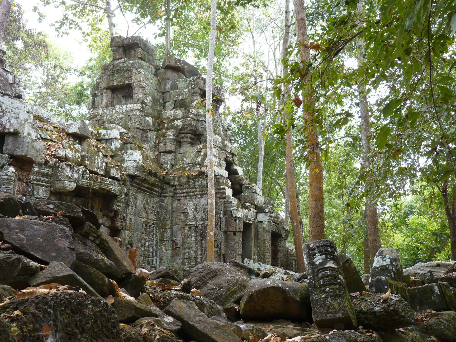 Pourquoi il faut « réensauvager » les monuments historiques