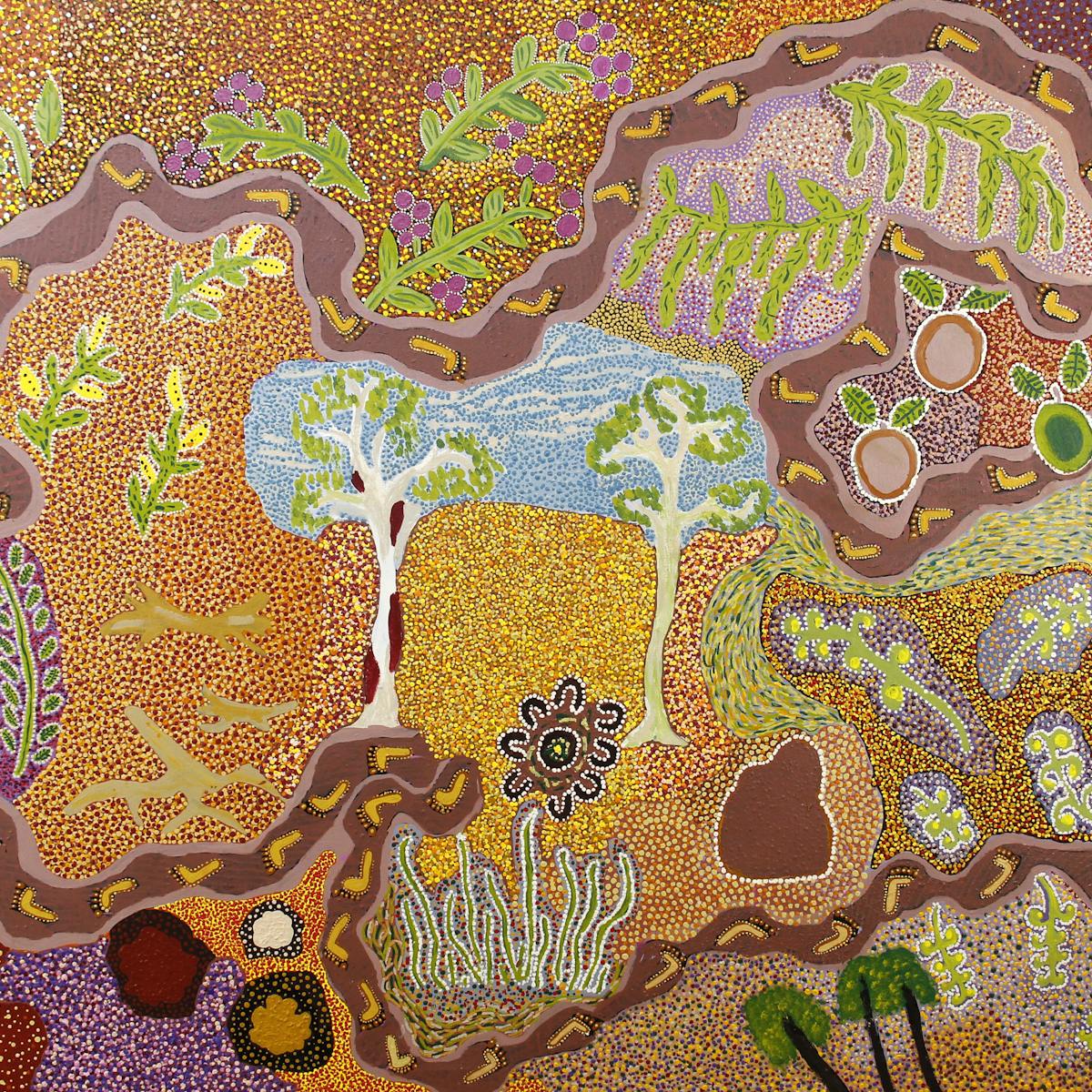 The Art Of Healing Five Medicinal Plants Used By Aboriginal