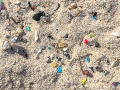 Microplastics may heat marine turtle nests and produce more females
