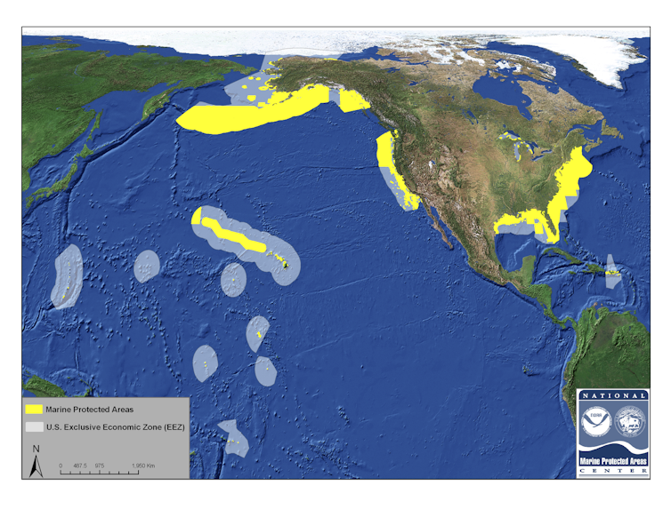 To conserve ocean life, marine reserves need to protect species that move around