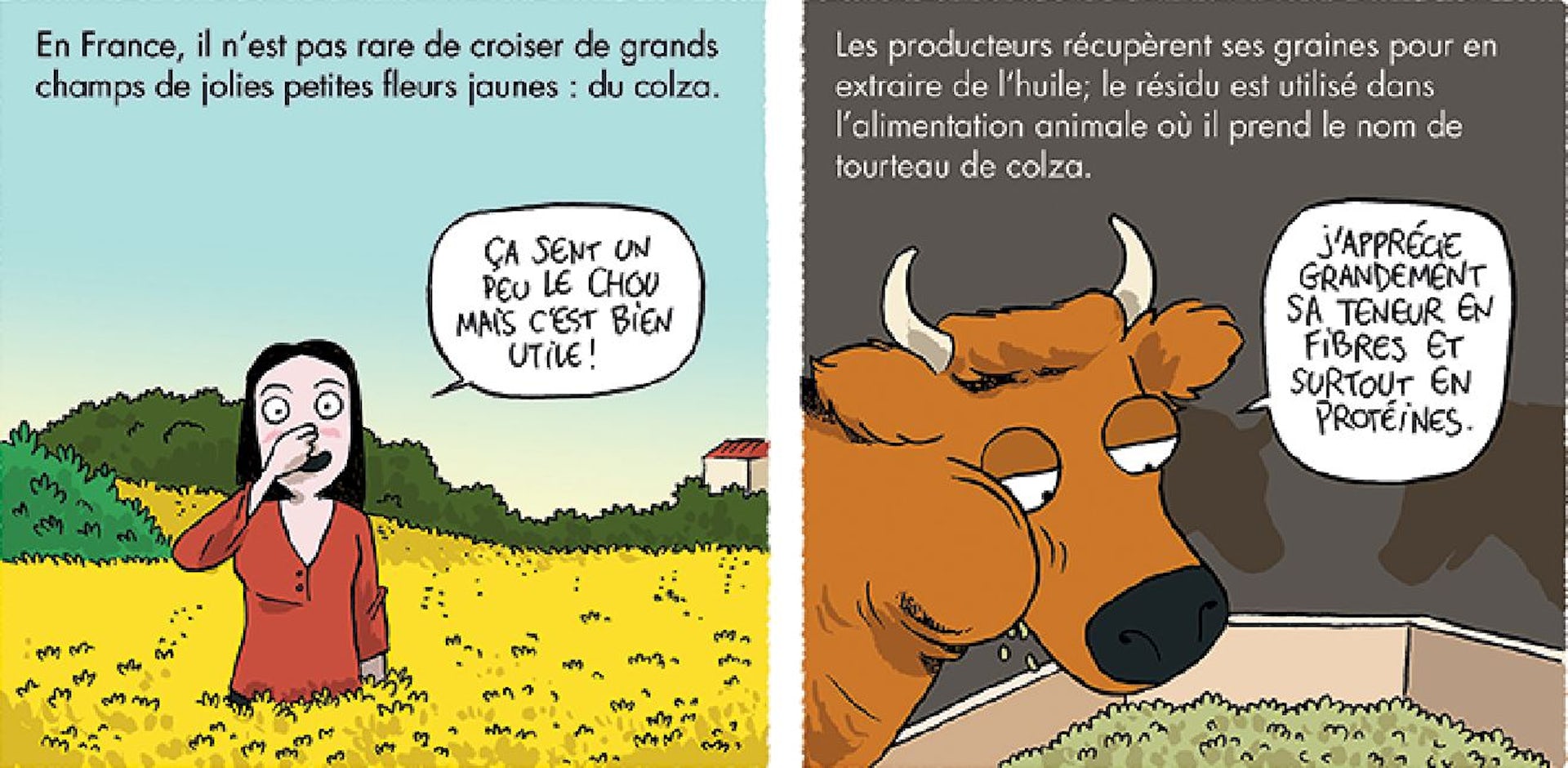 File 20180606 137298 htg2vk.jpg?ixlib=rb 1.1