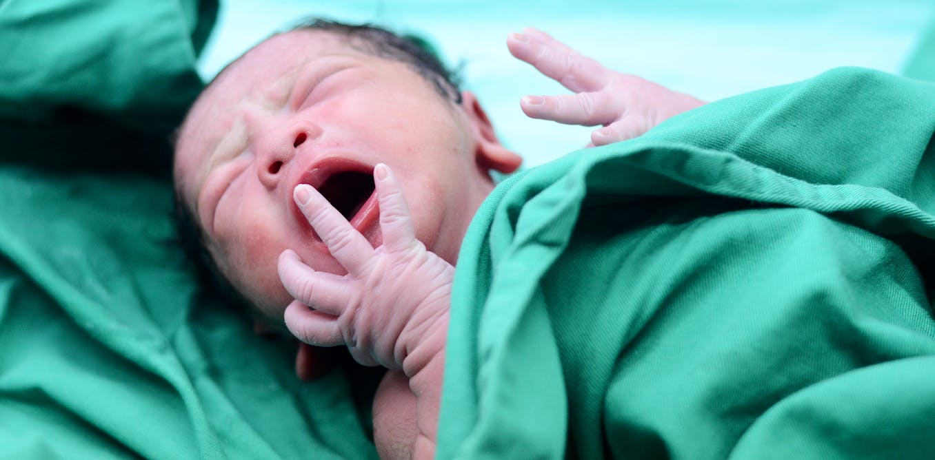 How Can A Baby Have 3 Parents How Can A Baby Have 3 Parents