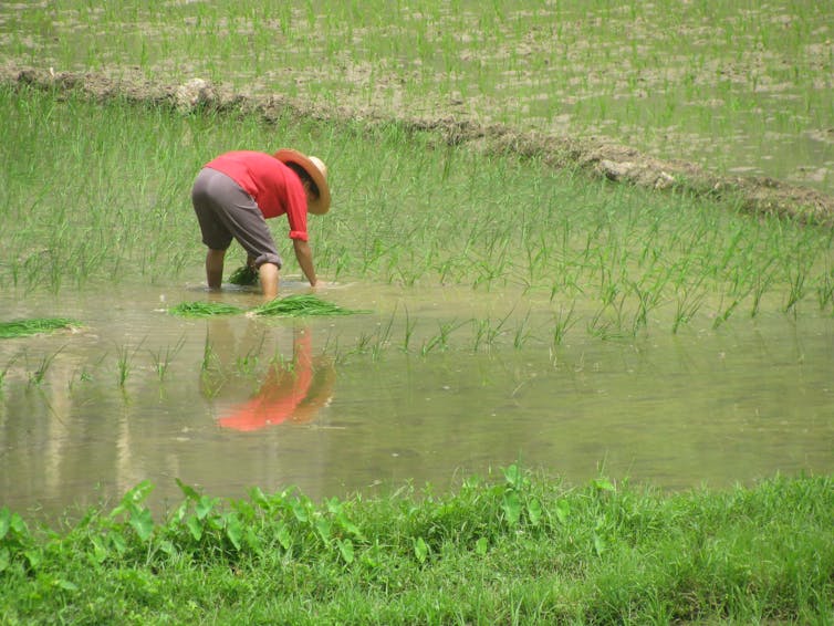 File 20180611 191940 siw4qq.jpg?ixlib=rb 1.1