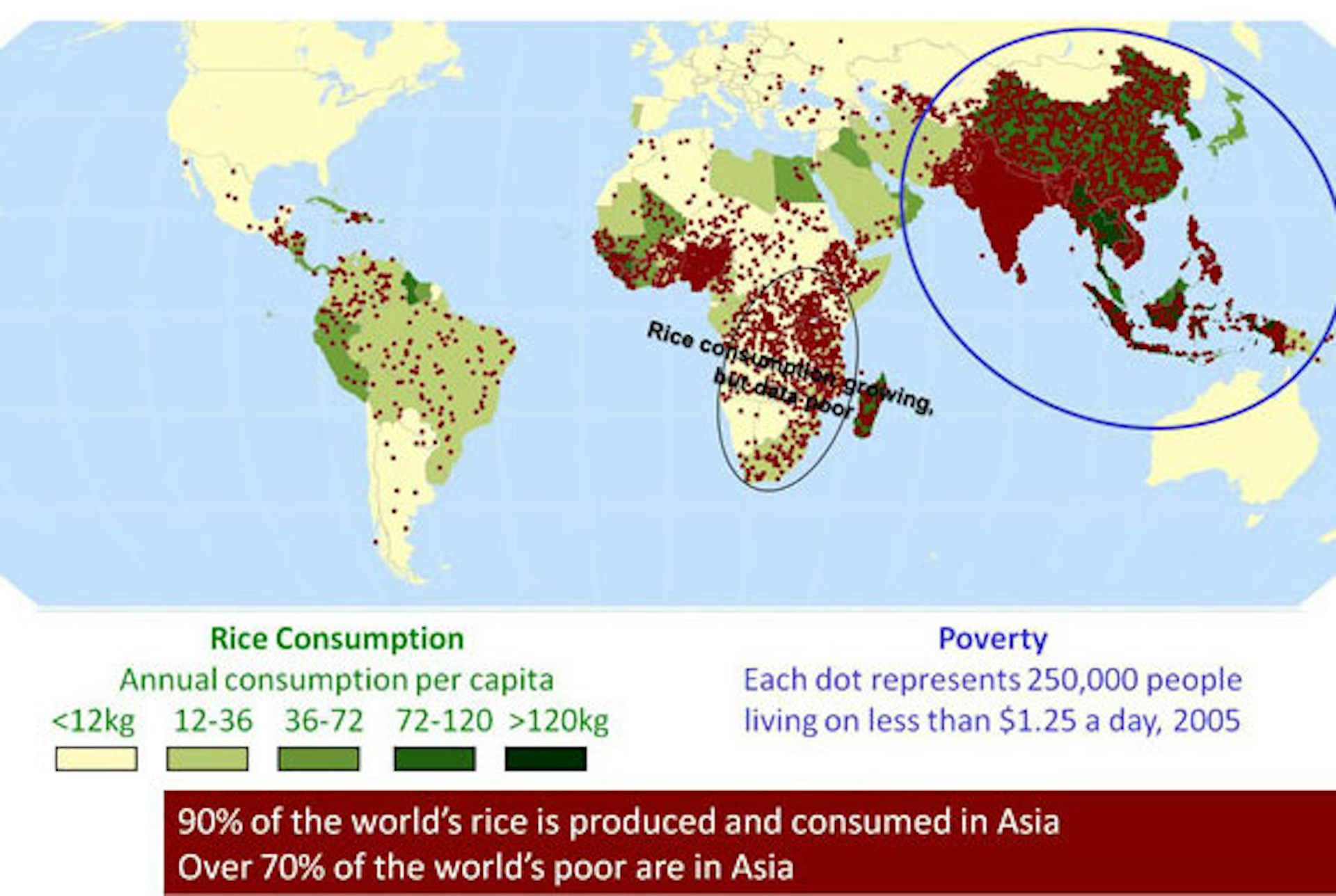 Climate Change Will Make Rice Less Nutritious, Putting Millions Of The ...