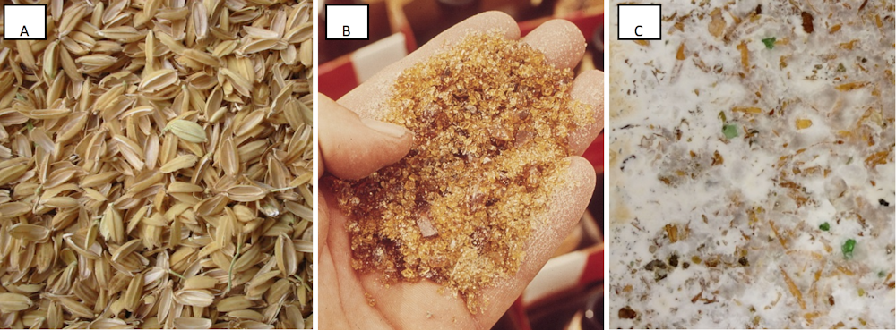 Scientists Create New Building Material Out Of Fungus Rice