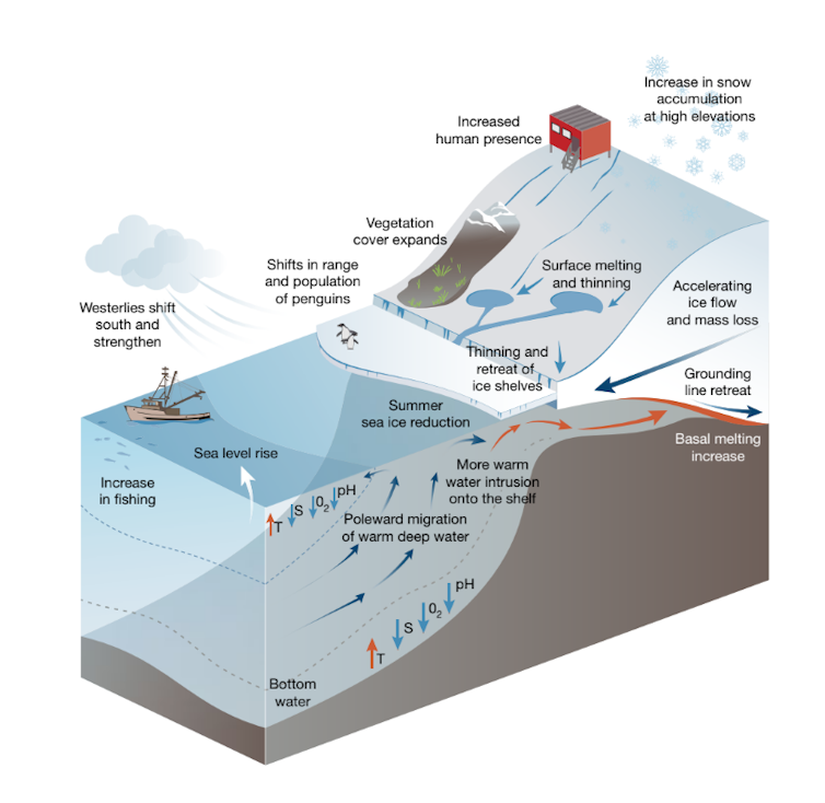 Under the high-emissions scenario, widespread changes occur by 2070 in Antarctica and the Southern Ocean, with global impacts. Rintoul et al. 2018. Click image to enlarge.