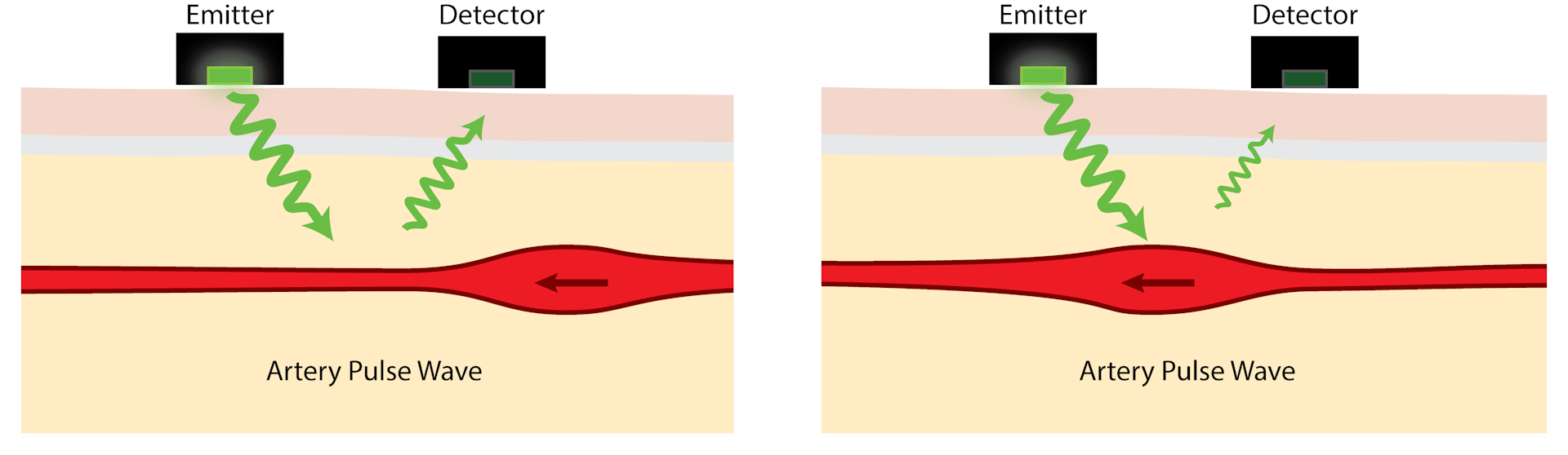 optical hrm