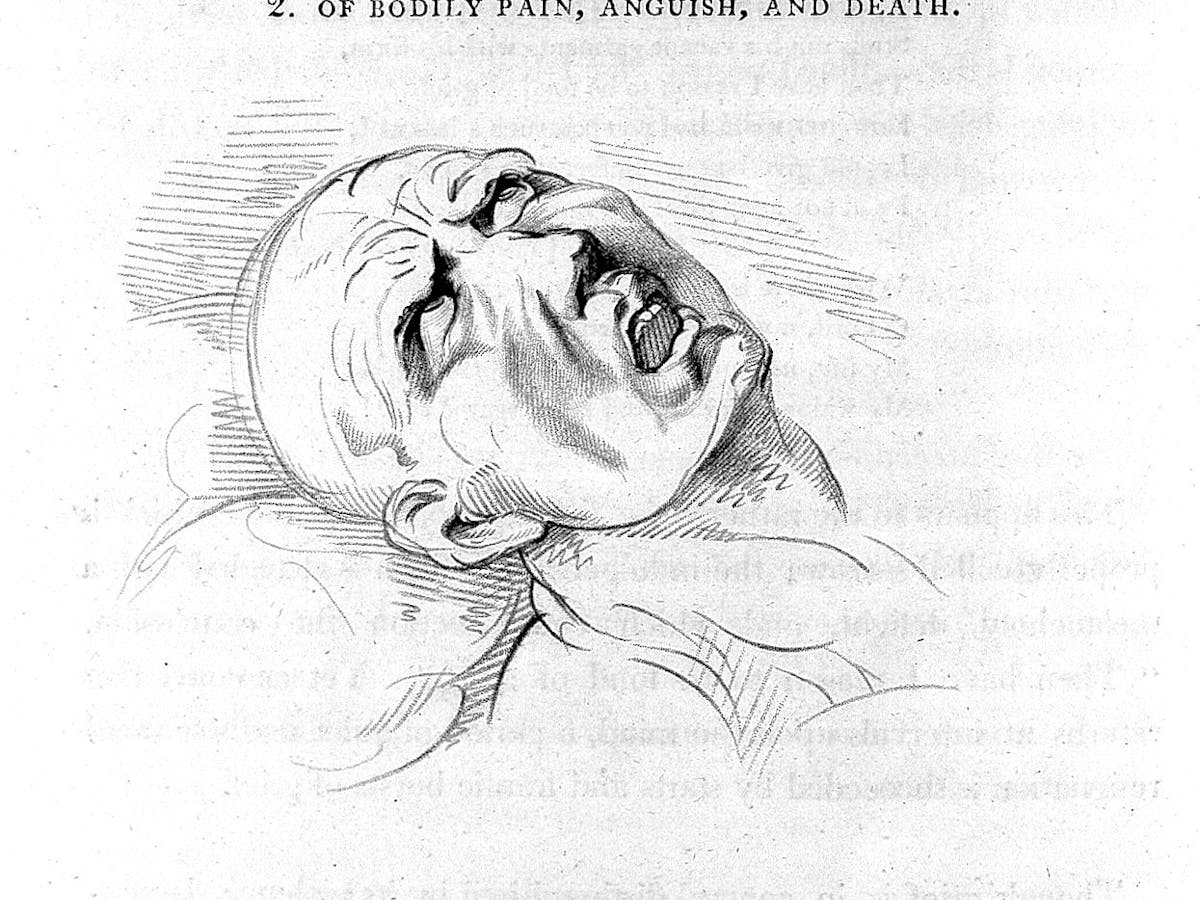 Opiate Addiction And The History Of Pain And Race In The Us Opiate Addiction And The History Of Pain And Race In The Us
