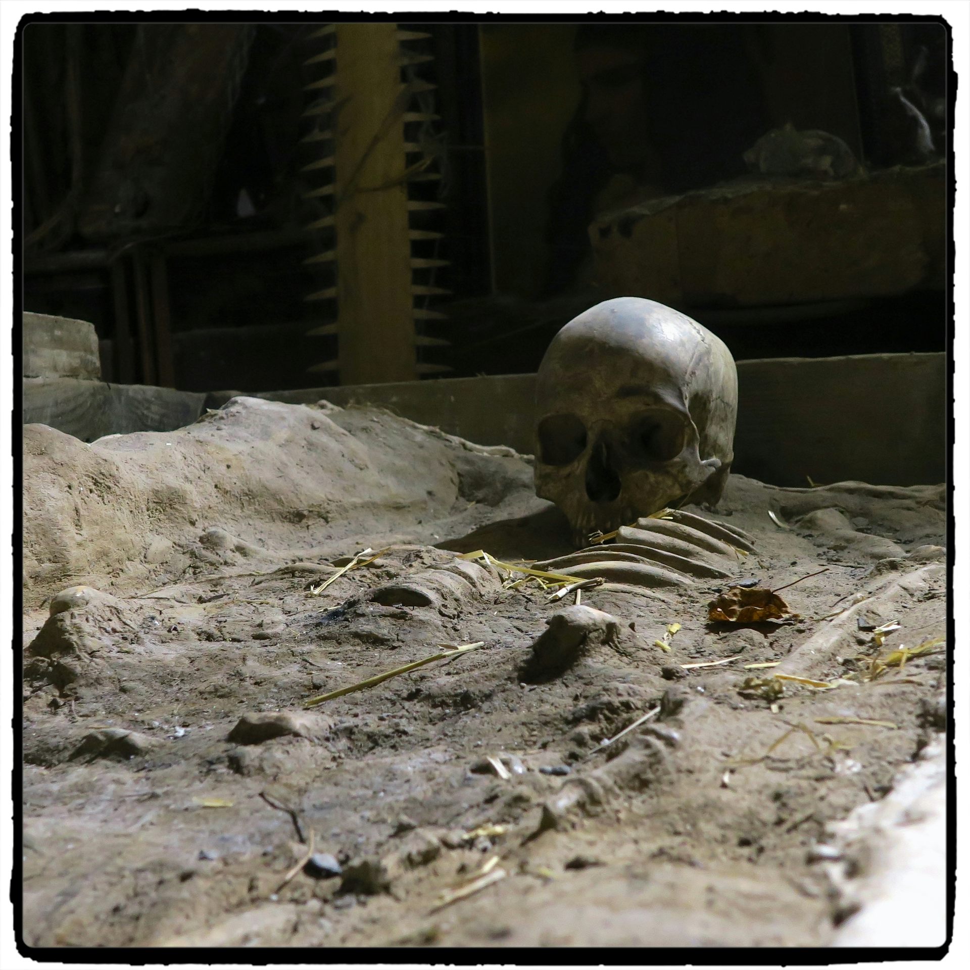 File 20180613 32319 6kw85y.jpg?ixlib=rb 1.1