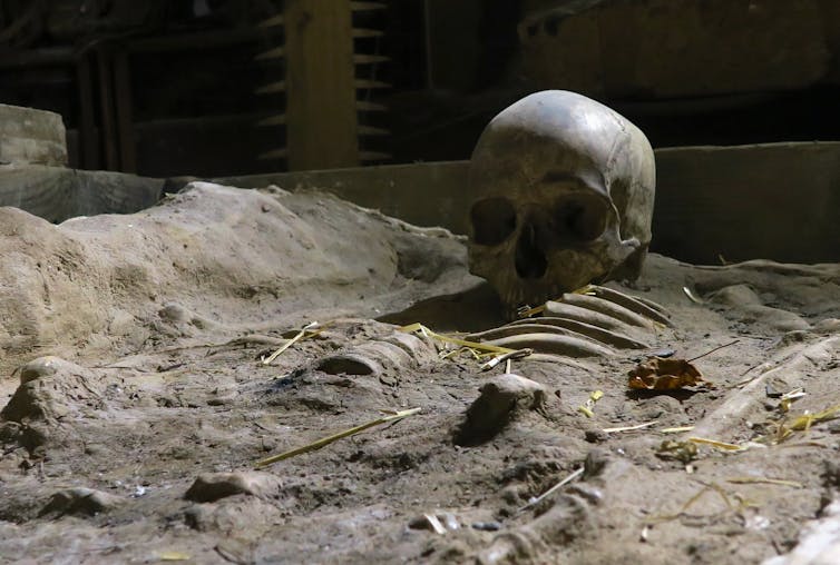 File 20180613 32319 6kw85y.jpg?ixlib=rb 1.1