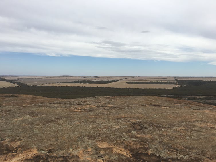 Dark Emu and the blindness of Australian agriculture