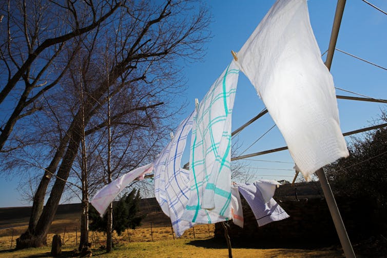 can tea towels cause food poisoning?