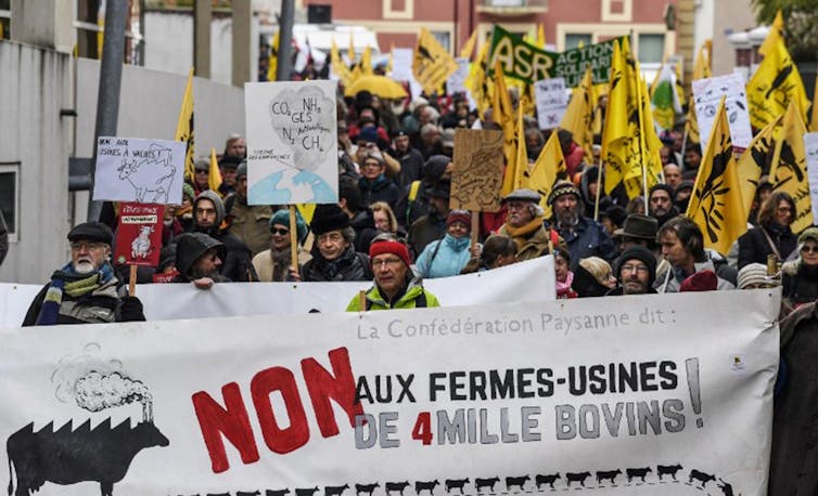 File 20180614 32307 tius2h.jpg?ixlib=rb 1.1