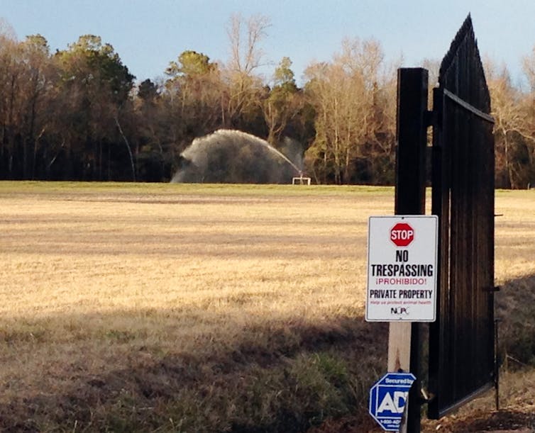 Rural Americans' struggles against factory farm pollution find traction in court