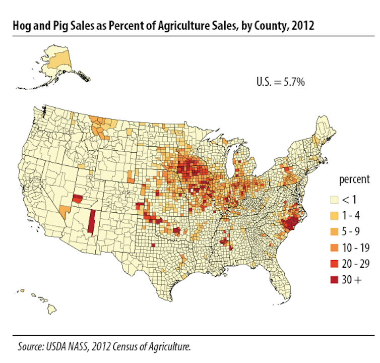 Rural Americans' struggles against factory farm pollution find traction in court