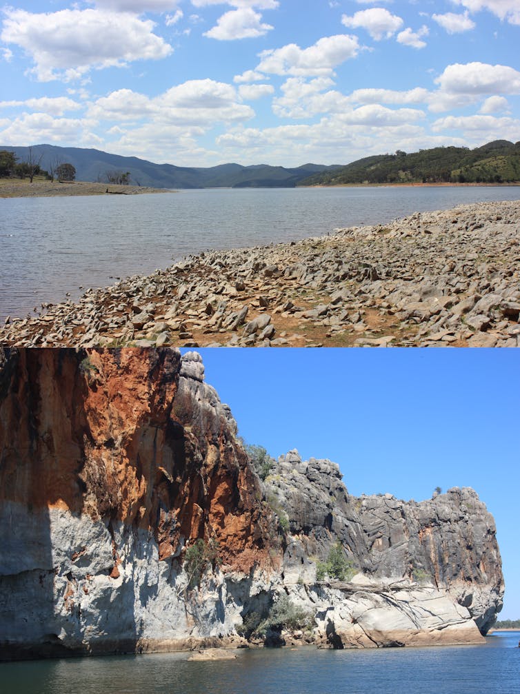 Fossil fish with platypus-like snout shows that coral reefs have long been evolution hotspots