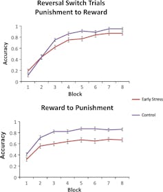 Extreme stress during childhood can hurt social learning for years to come