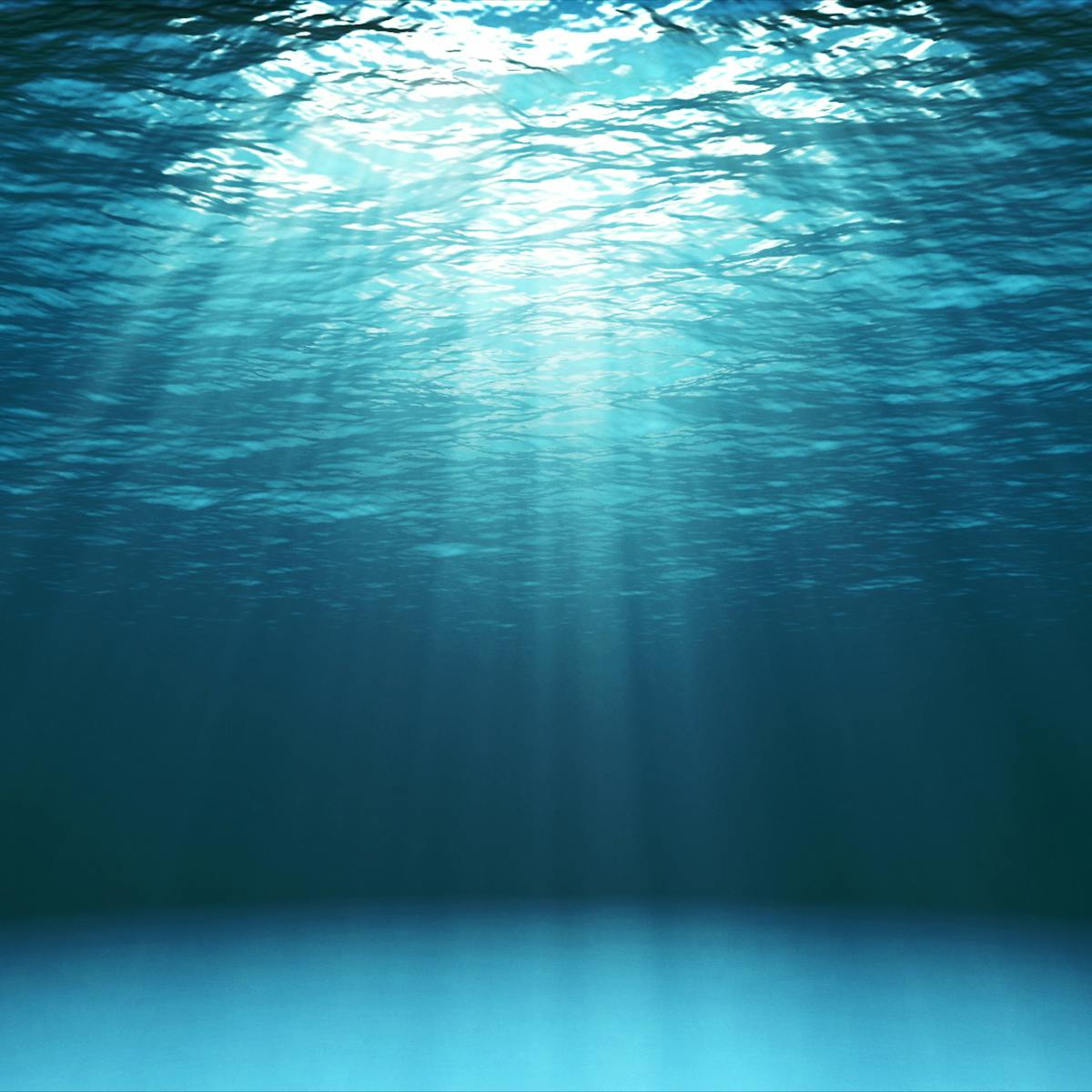 Curious Kids: How was the ocean formed? Where did all the water ...