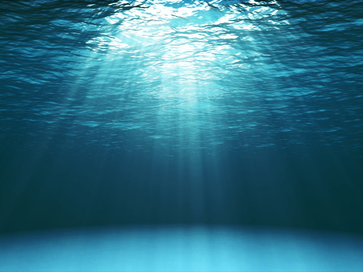 Curious Kids: How was the ocean formed? Where did all the water ...