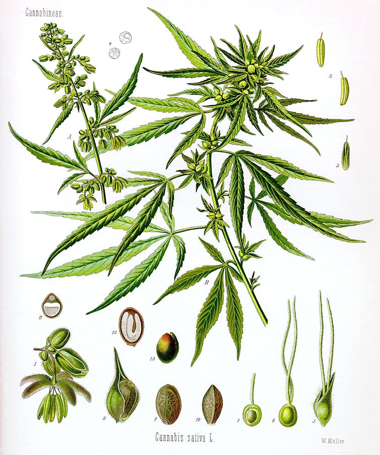 dans THERAPIES