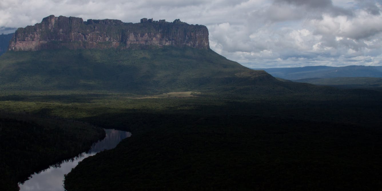 Самый высокий водопад гвианском плоскогорье. Рорайма Анхель. Венесуэла плато Рорайма. Тепуи столовые горы. Гвианское плоскогорье водопад Анхель.