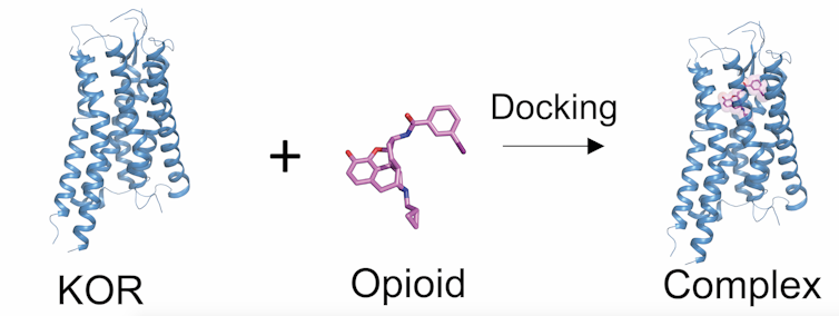 Opioids don't have to be addictive – the new versions will treat pain without triggering pleasure