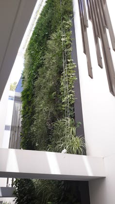 Australian cities are lagging behind in greening up their buildings