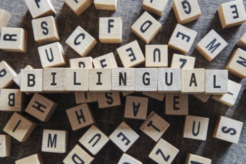 Image result for bilingual