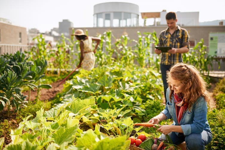 Working with nature can help us build greener cities instead of urban slums