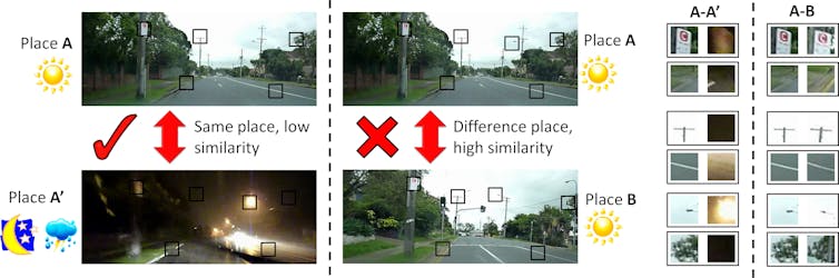 Robots can learn a lot from nature if they want to 'see' the world