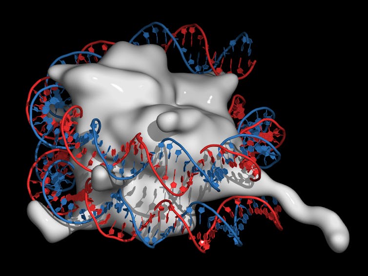 Extreme stress in childhood is toxic to your DNA