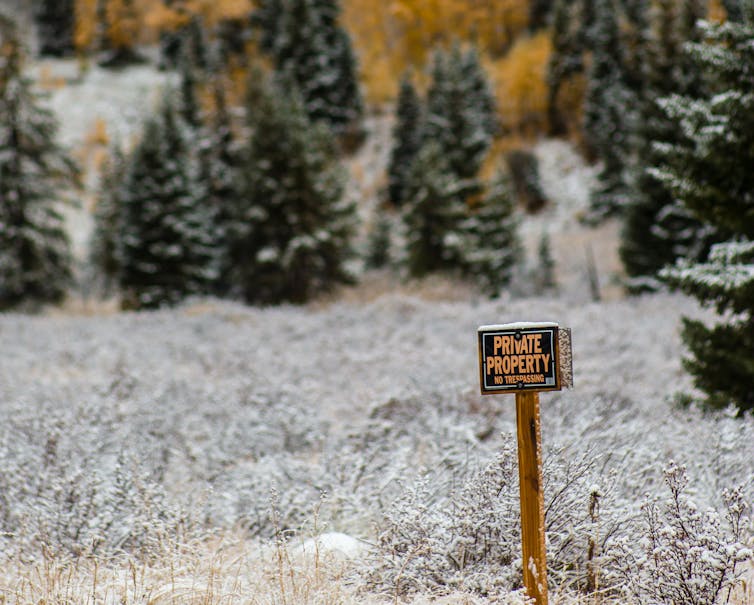 File 20180628 117382 m879hx.jpg?ixlib=rb 1.1