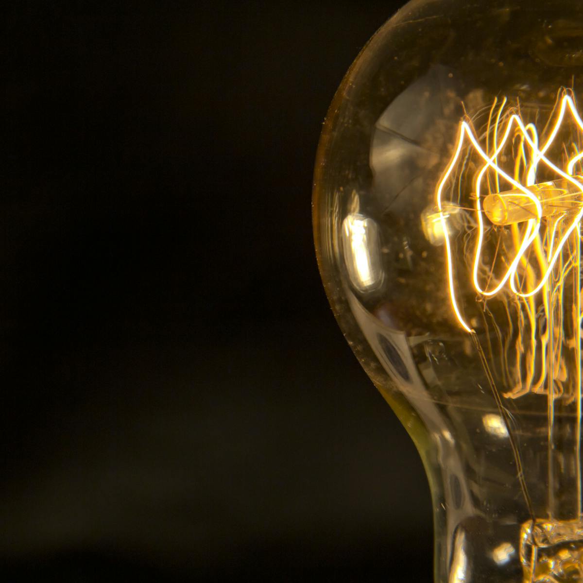 Thomas Edison: visionary, genius or fraud?