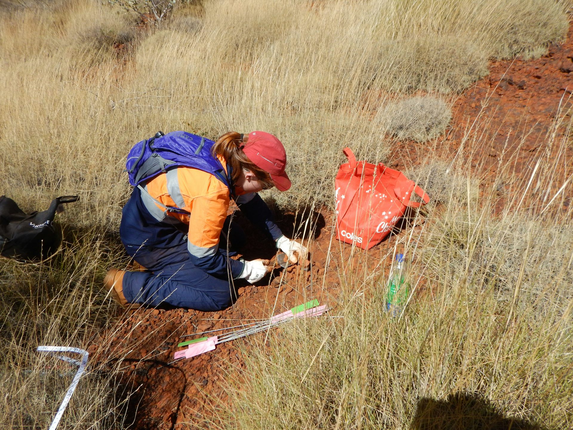 We need a bank of DNA from dirt and water to protect Australia's environment
