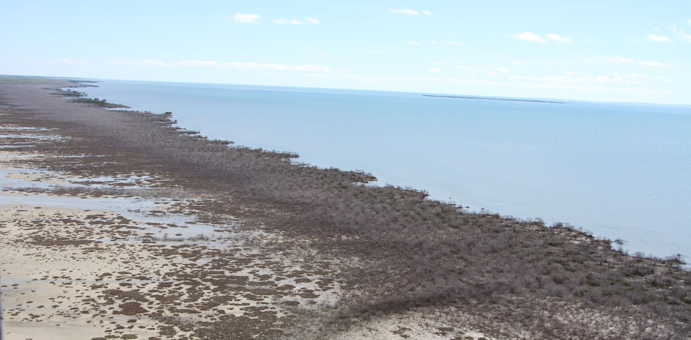 Ecosystems across australia are collapsing under climate change