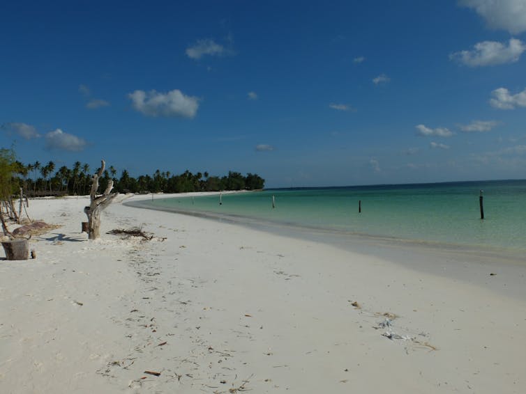 Nouvelle érotique gratuite : une rencontre inespérée à Punta Cana