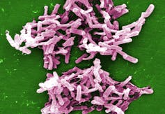 A novel 'smart' antibiotic may target most common bacterial infection contracted in US hospitals