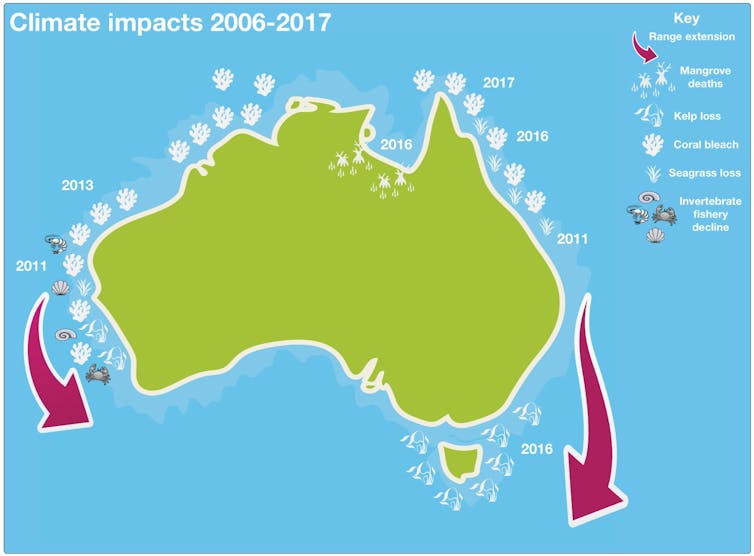Warming oceans are changing Australia's fishing industry