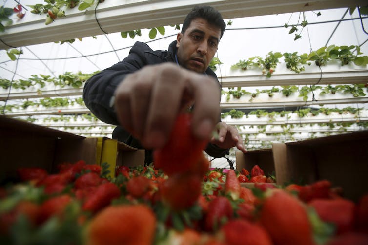 Meet the foodies who are changing the way Americans eat