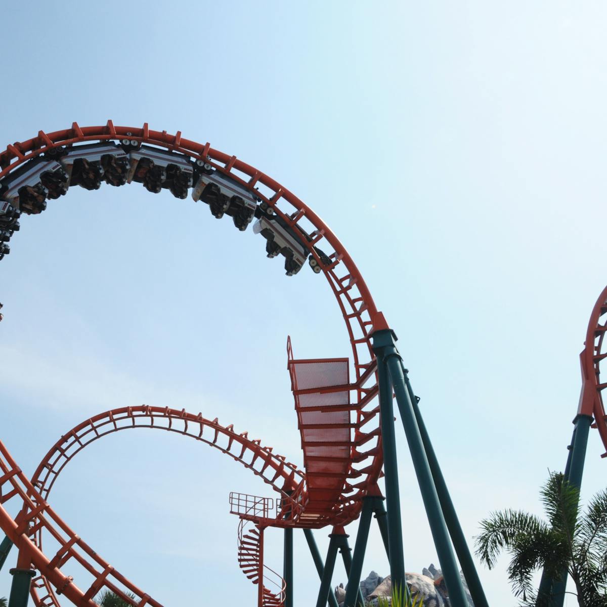 The Psychology Of Roller Coasters The Psychology Of Roller Coasters